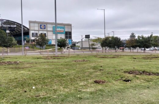 Trecho da Linha Verde passa por transformação com novas vias, acessos e replantio da arborização