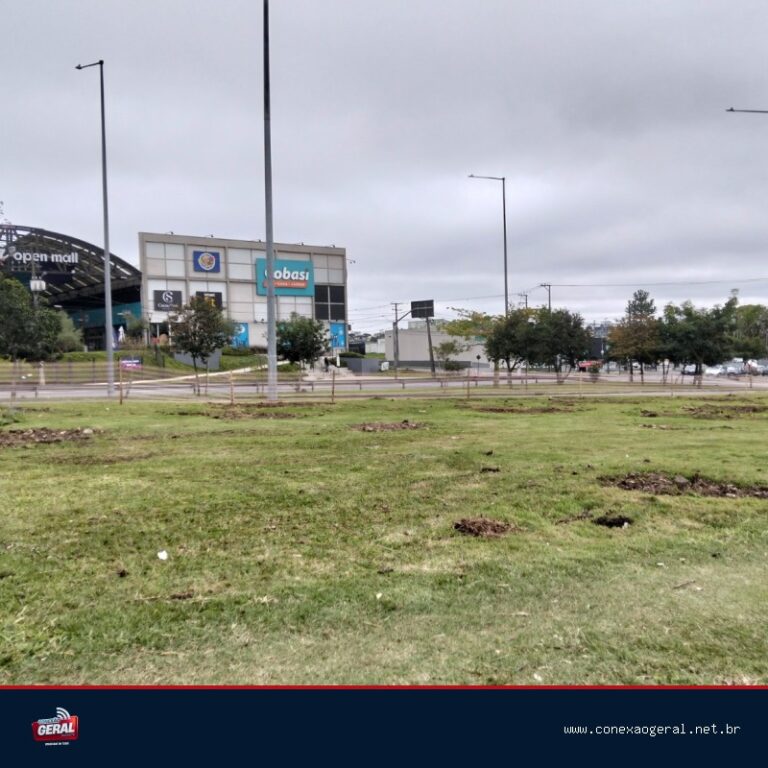 Trecho da Linha Verde passa por transformação com novas vias, acessos e replantio da arborização