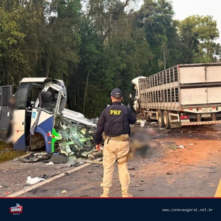 Tragédia na BR-373 deixa mais de 20 mortos em colisão entre micro-ônibus da Saúde e carreta