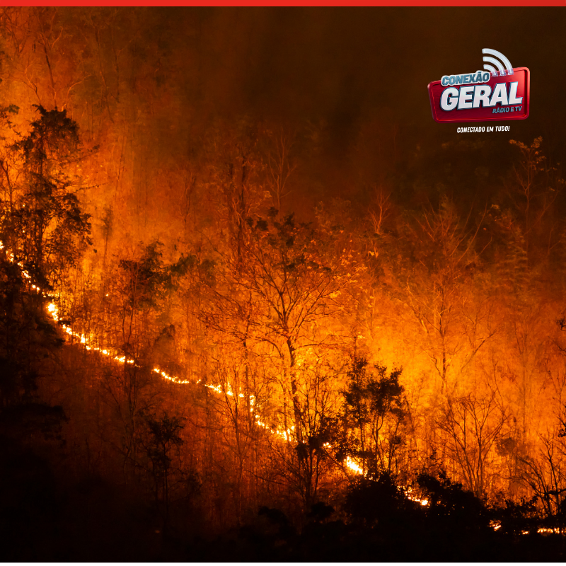 Canadá enfrenta temporada intensa de incêndios florestais e fumaça volta a comprometer qualidade do ar na América do Norte