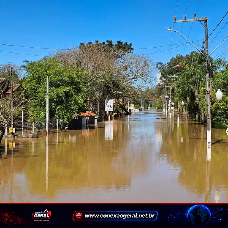 Cheia do Rio Negro deixa 122 desalojados na Grande Curitiba
