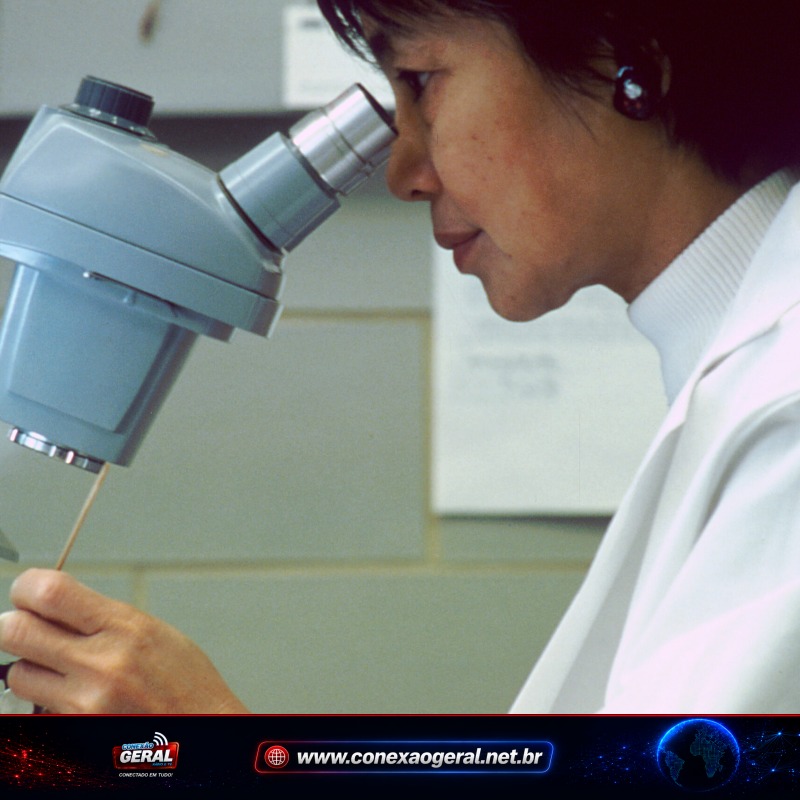 Prêmio para meninas e mulheres cientistas oferece até R$ 13 mil