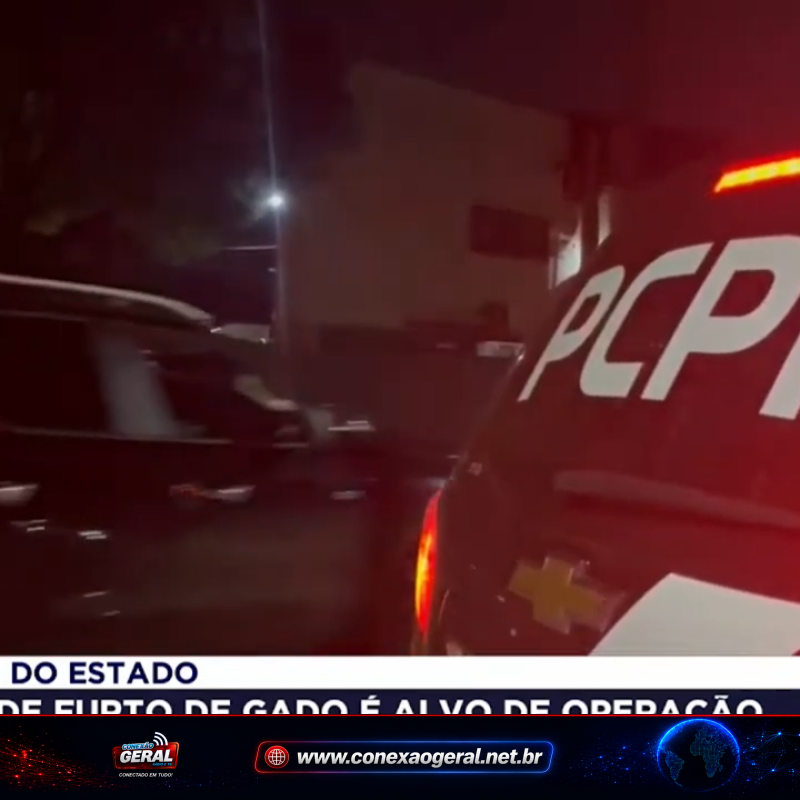Operação prende 19 e mira esquema de furto de mais de 2 mil cabeças de gado no Paraná