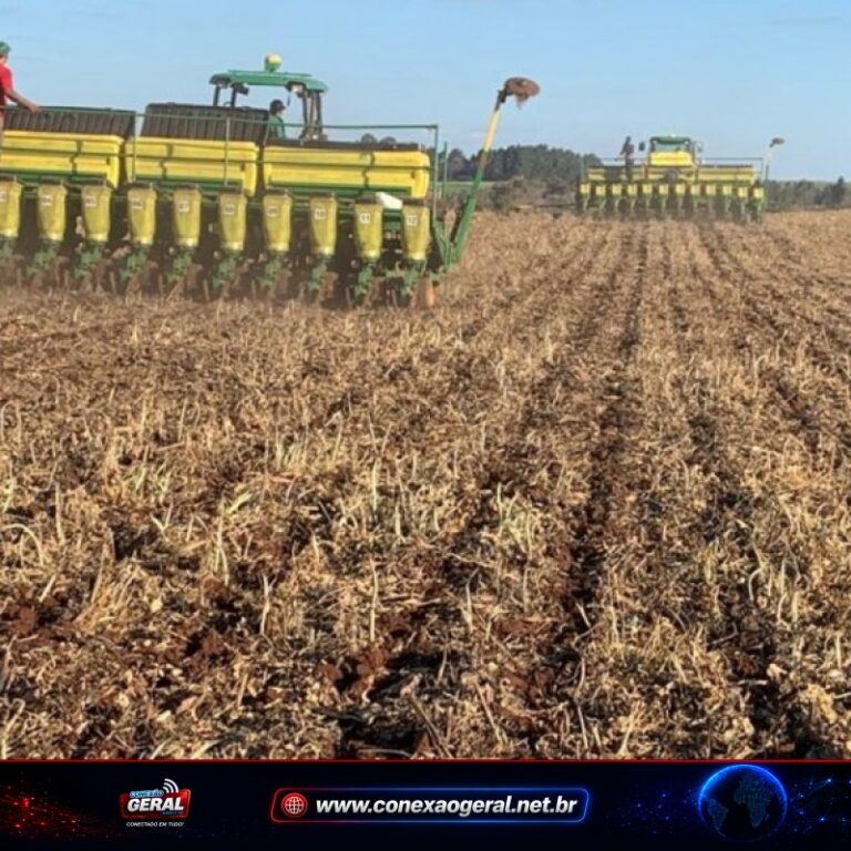Plantio de soja no Paraná chega a 28% e avança no ritmo mais forte em oito anos