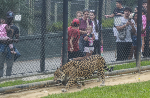 Zoológico de Curitiba reabre neste fim de semana e volta a fechar na segunda