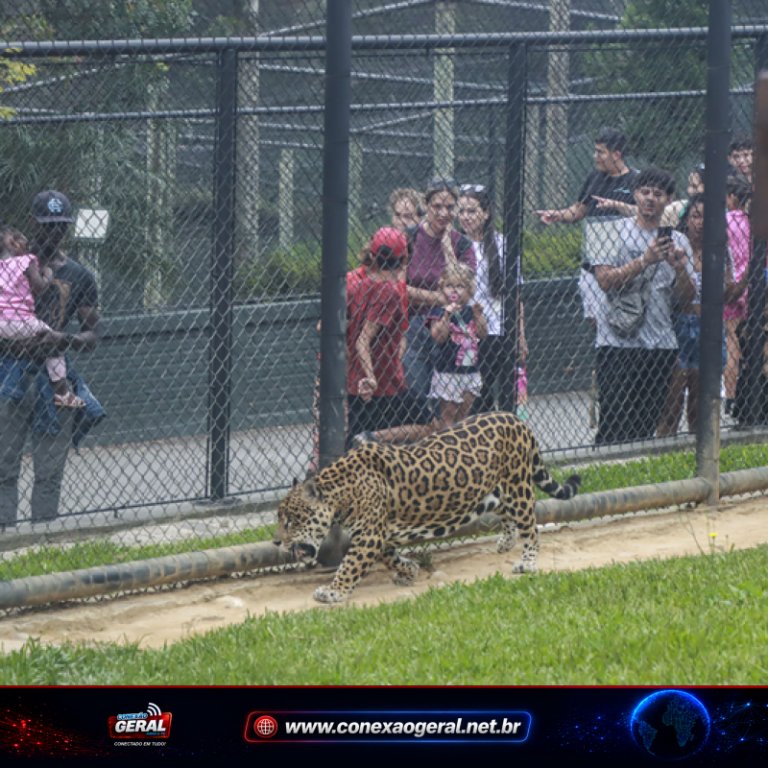 Zoológico de Curitiba reabre neste fim de semana e volta a fechar na segunda