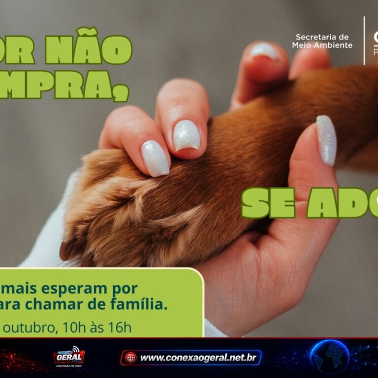 Colombo realiza feira de adoção neste sábado com cerca de 12 cães à espera de um lar