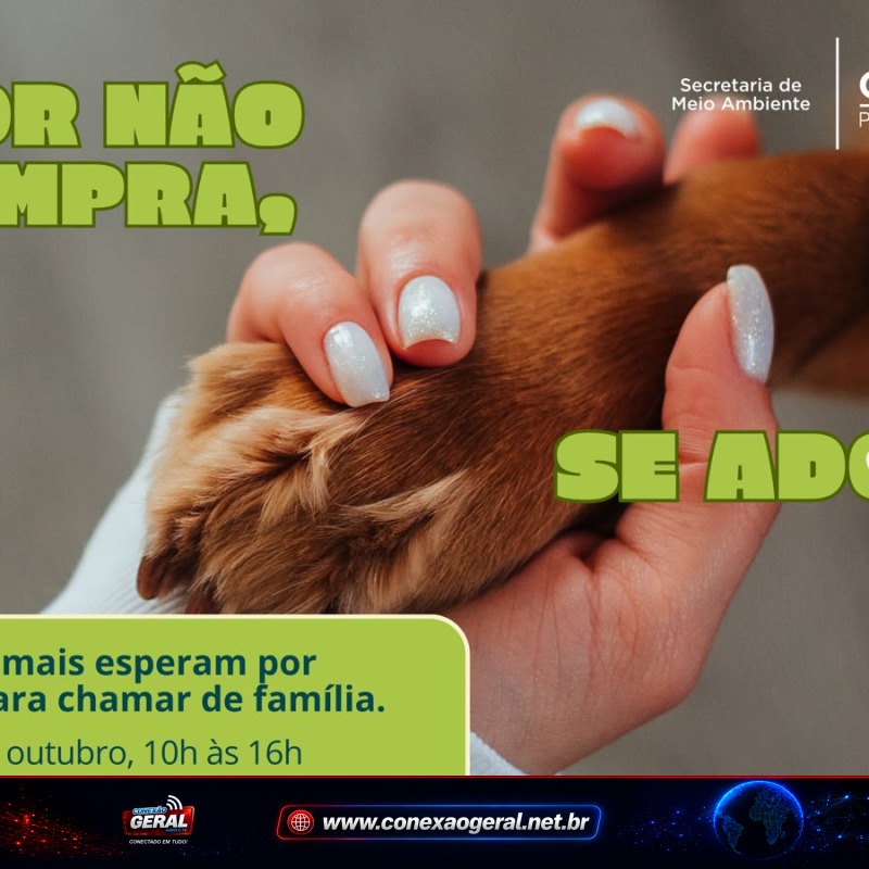 Colombo realiza feira de adoção neste sábado com cerca de 12 cães à espera de um lar