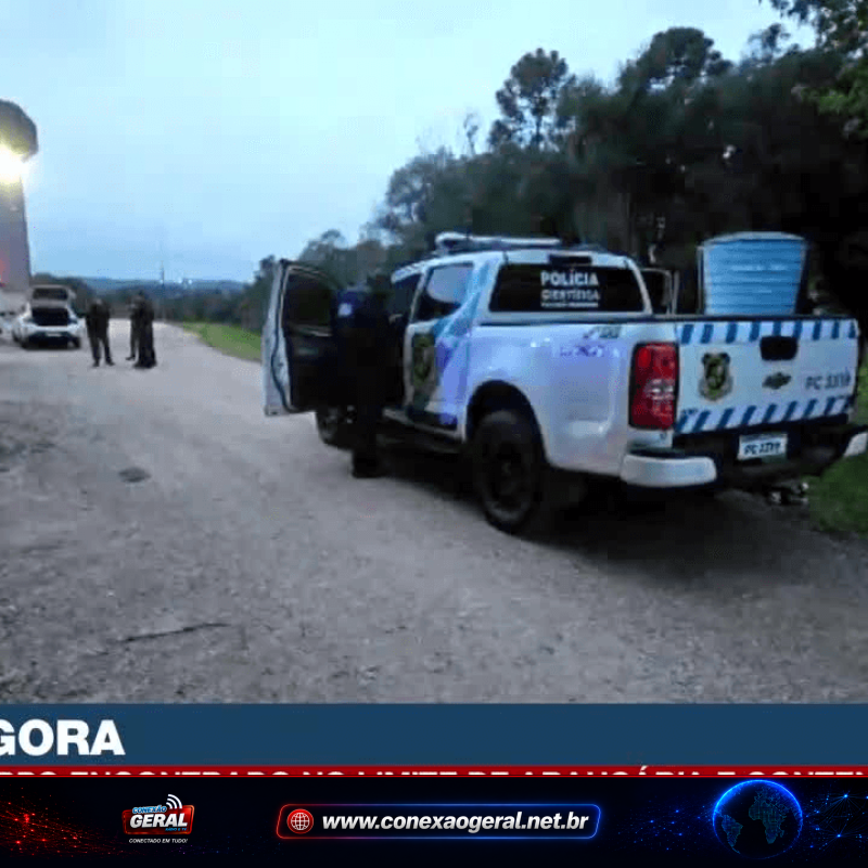 Homem é encontrado morto com as mãos amarradas na divisa entre Araucária e Contenda