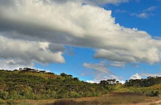 Frente fria muda o tempo no Paraná e derruba temperaturas no fim de semana